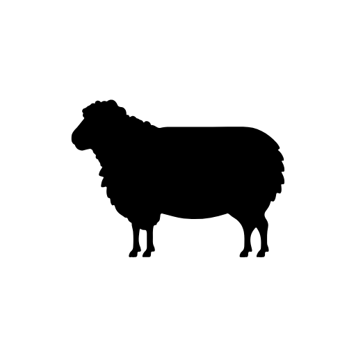 Ovelha